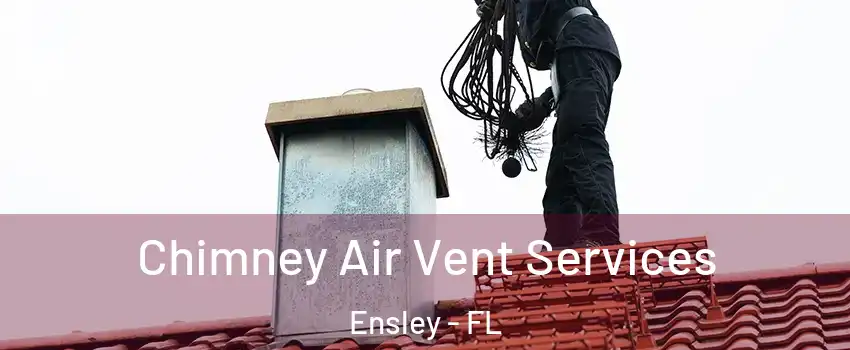  Chimney Air Vent Services Ensley - FL