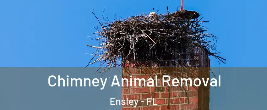 Chimney Animal Removal Ensley - FL
