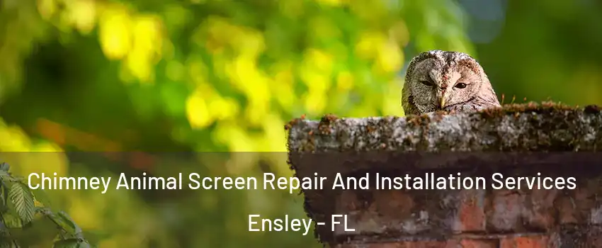  Chimney Animal Screen Repair And Installation Services Ensley - FL