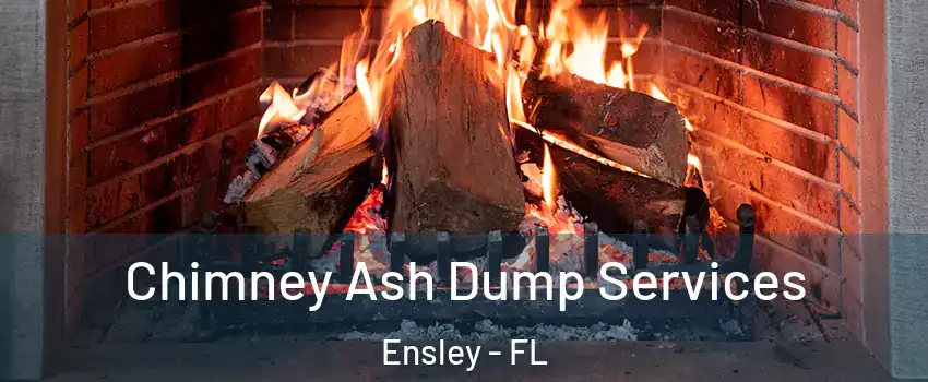  Chimney Ash Dump Services Ensley - FL
