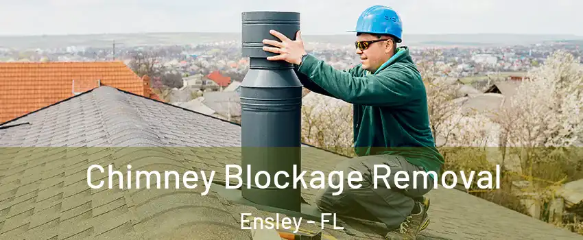  Chimney Blockage Removal Ensley - FL
