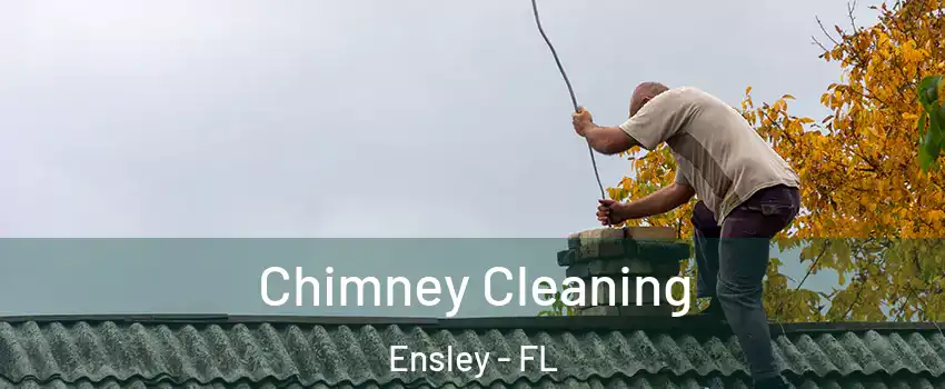  Chimney Cleaning Ensley - FL