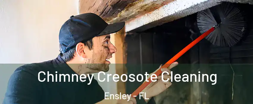  Chimney Creosote Cleaning Ensley - FL