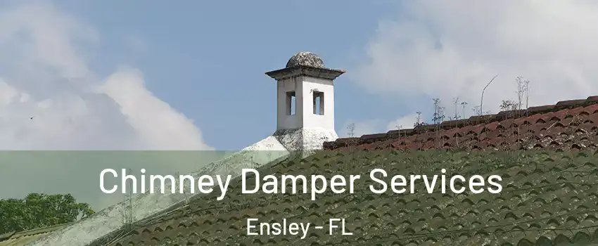 Chimney Damper Services Ensley - FL