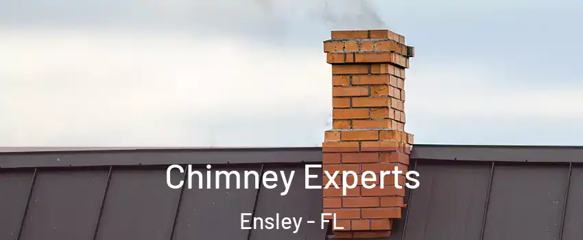 Chimney Experts Ensley - FL