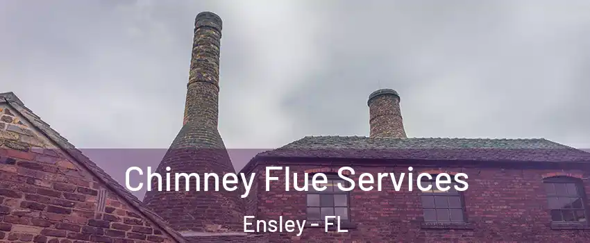  Chimney Flue Services Ensley - FL
