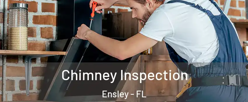  Chimney Inspection Ensley - FL