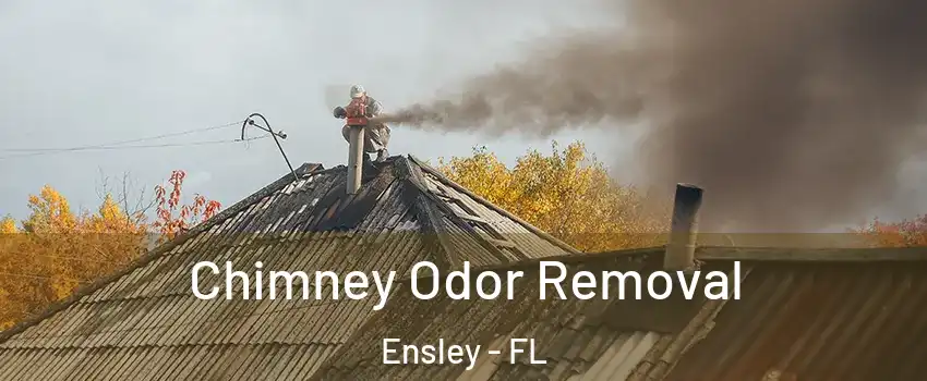  Chimney Odor Removal Ensley - FL