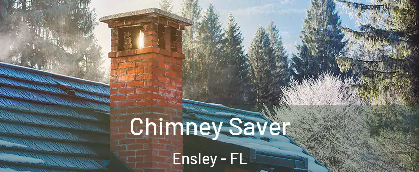  Chimney Saver Ensley - FL