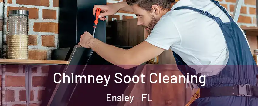  Chimney Soot Cleaning Ensley - FL