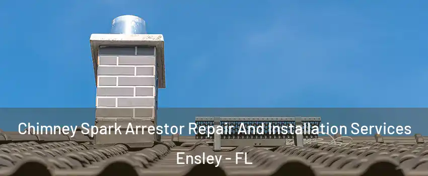  Chimney Spark Arrestor Repair And Installation Services Ensley - FL