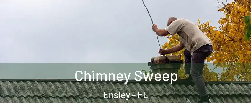  Chimney Sweep Ensley - FL