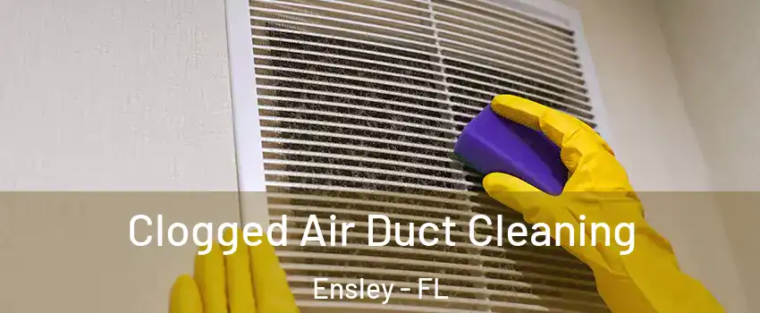  Clogged Air Duct Cleaning Ensley - FL