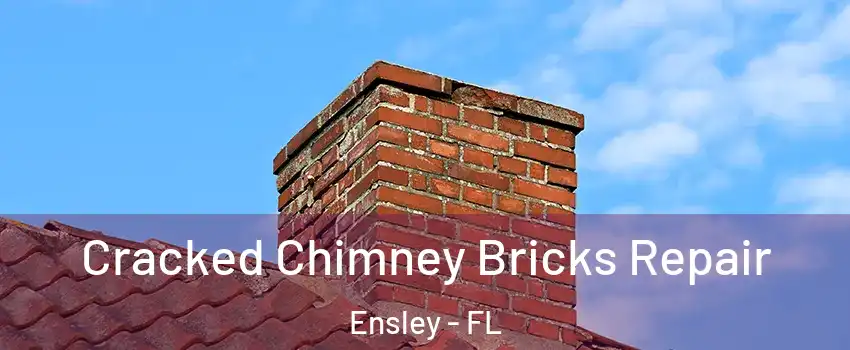  Cracked Chimney Bricks Repair Ensley - FL