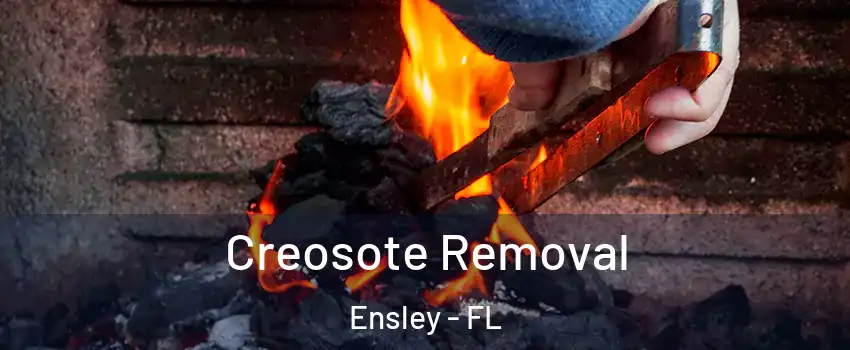  Creosote Removal Ensley - FL