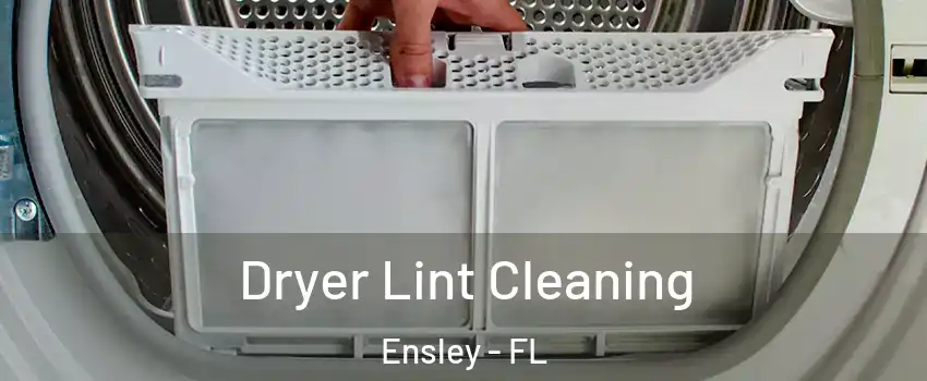  Dryer Lint Cleaning Ensley - FL