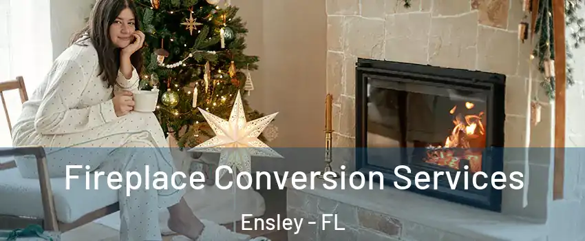  Fireplace Conversion Services Ensley - FL