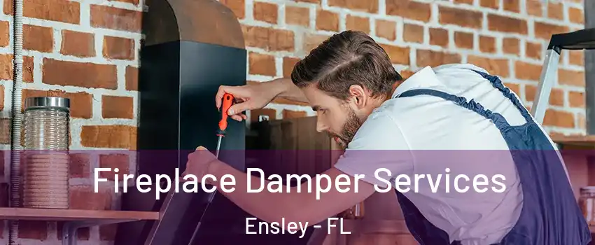 Fireplace Damper Services Ensley - FL