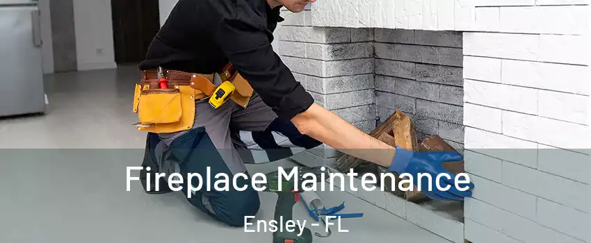  Fireplace Maintenance Ensley - FL