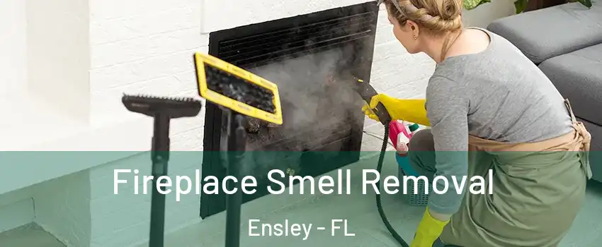  Fireplace Smell Removal Ensley - FL