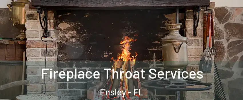  Fireplace Throat Services Ensley - FL