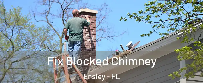  Fix Blocked Chimney Ensley - FL