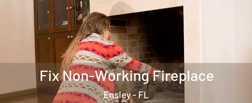  Fix Non-Working Fireplace Ensley - FL