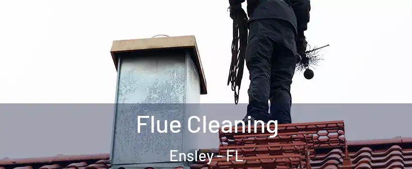  Flue Cleaning Ensley - FL