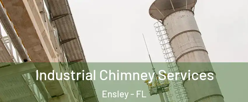  Industrial Chimney Services Ensley - FL