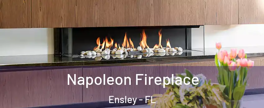  Napoleon Fireplace Ensley - FL